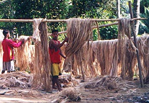 Taking in Hong Kong and Philippines