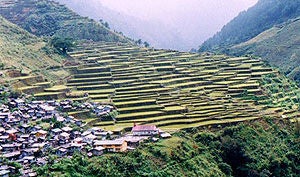 Taking in Hong Kong and Philippines