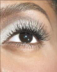 Eyebrows, Eyelashes, Lids and More