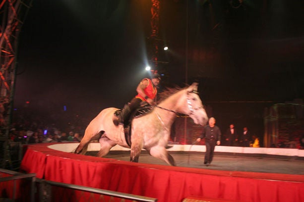UniverSoul Circus 2009
