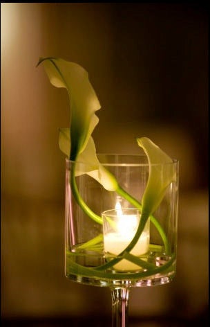 Bridal Bliss: Kia and Jason