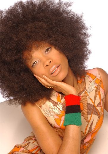 Hairstyle File: Erykah Badu