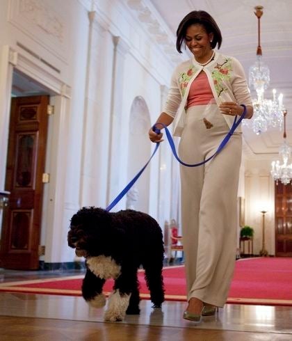 The First Lady's Floral Fashion