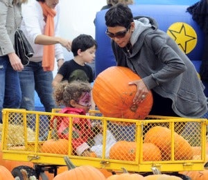 Stars Head to the Pumpkin Patch