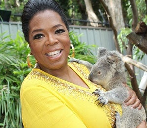 Star Gazing: Oprah Cuddles a Koala in Australia