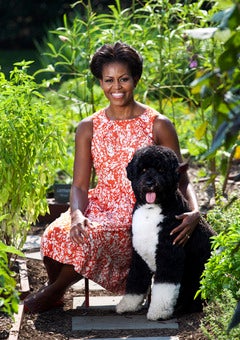 Michelle Obama’s Garden Book Set for Release