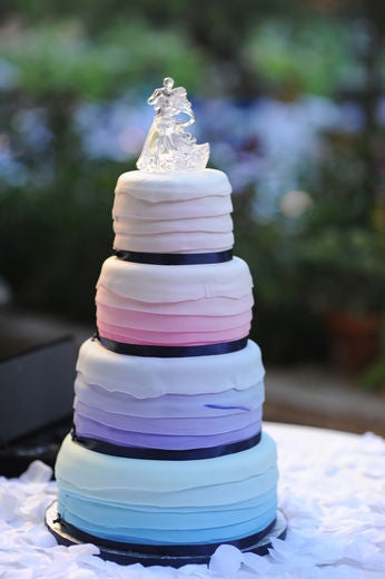 Bridal Bliss: Janine and Doug