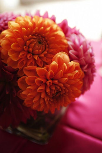 Bridal Bliss: Lacy and Eric