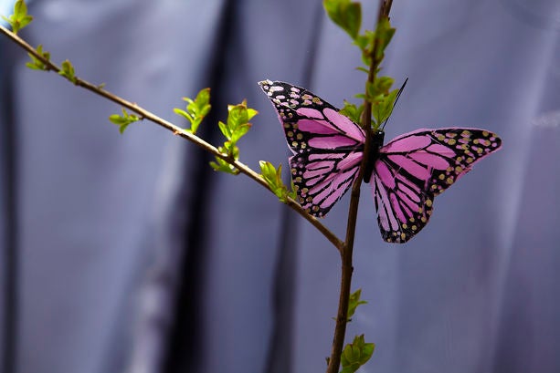 Bridal Bliss: Tania and Ken