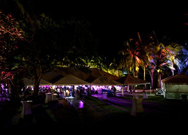 Bridal Bliss: Kaelie and André