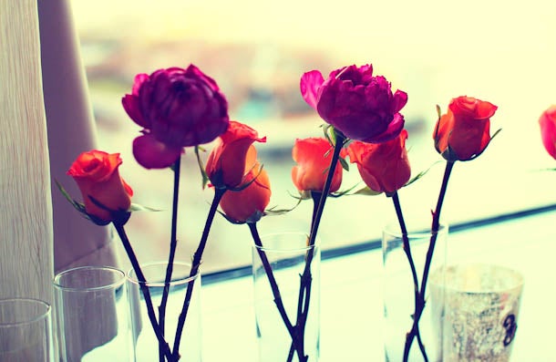 Just Engaged: A Beautiful Surprise