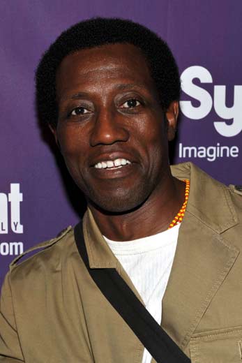 Wesley Snipes Released From Jail