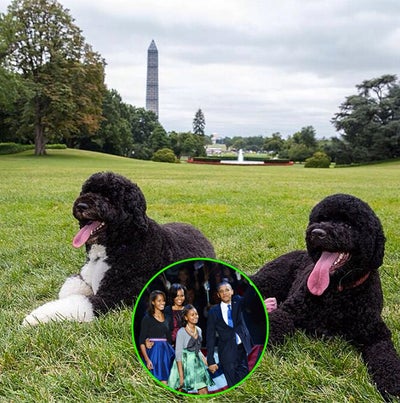 Photo Fab: The Obamas Welcome a New Family Member