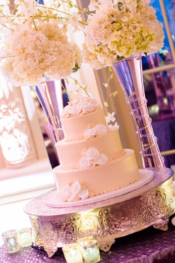 Bridal Bliss: Amber and Donovan