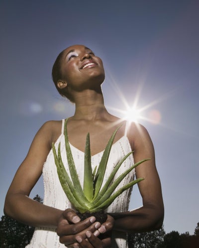 Super Natural: Afrobella Says Aloe Vera is Everything