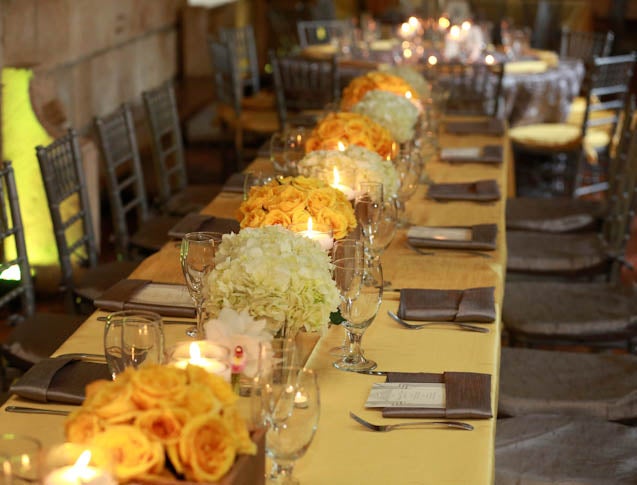 Bridal Bliss: A Dream Realized