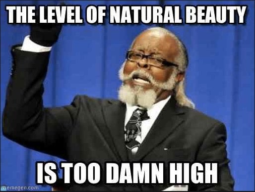 The Funniest Hair and Beauty Memes
