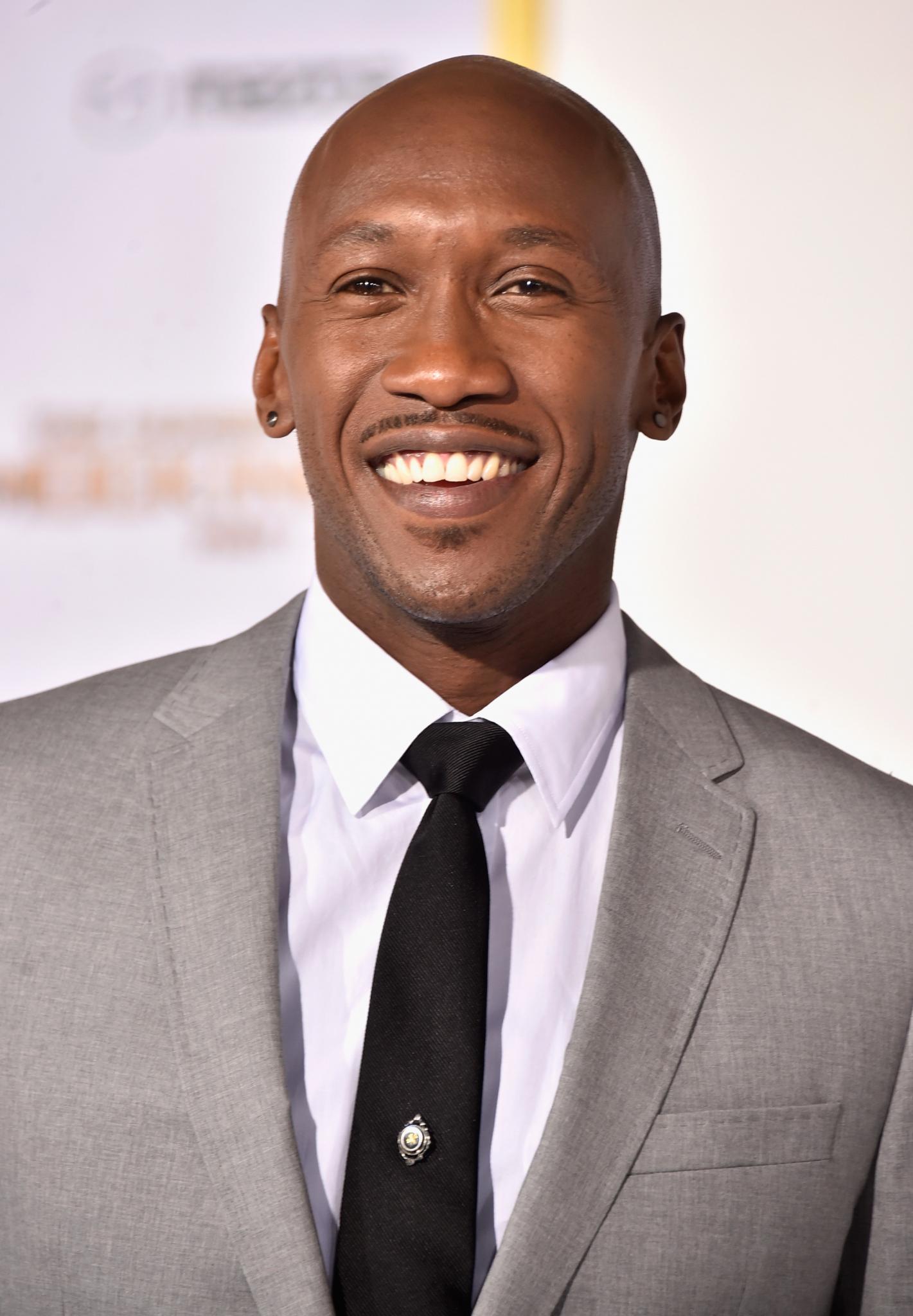 25 Pop Culture Moments We’re Looking Forward To 2015