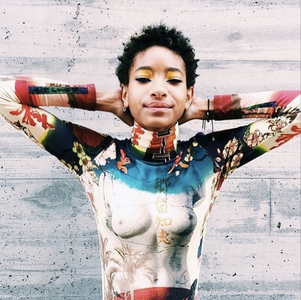 Willow Smith Posts 'Topless' Instagram Photo
