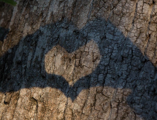 Just Engaged: I Never Knew Love Like This Before