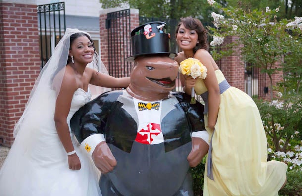 Bridal Bliss: Lovebirds