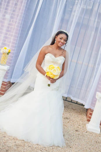 Bridal Bliss: Lovebirds