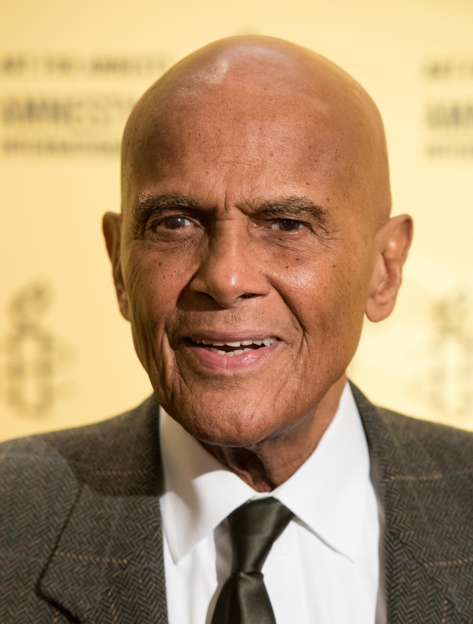 Harry Belafonte on Amnesty International, Mali Music, and Why He'll Never Retire