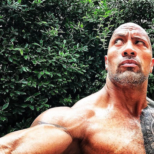 Dwayne 'The Rock' Johnson's 18 Sexy Shirtless Photos - Essence