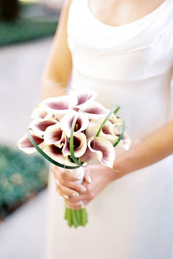 Bridal Bliss: Darilyn and Terrance’s Chicago Wedding