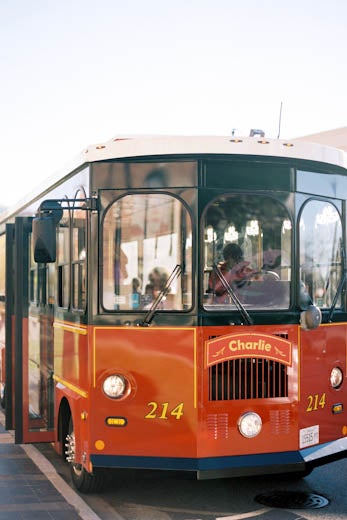 Bridal Bliss: Darilyn and Terrance’s Chicago Wedding