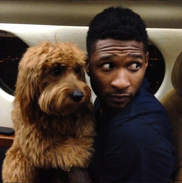 Celebs and Their Adorable Furry Friends
