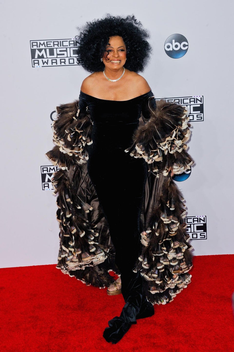 Diana Ross Says ‘the Show Must Go On’ After Car Accident