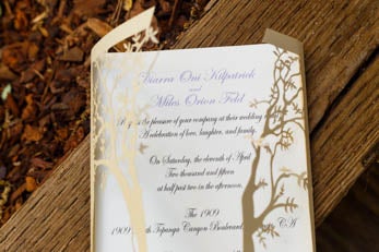 Bridal Bliss: Lights, Camera, LOVE!