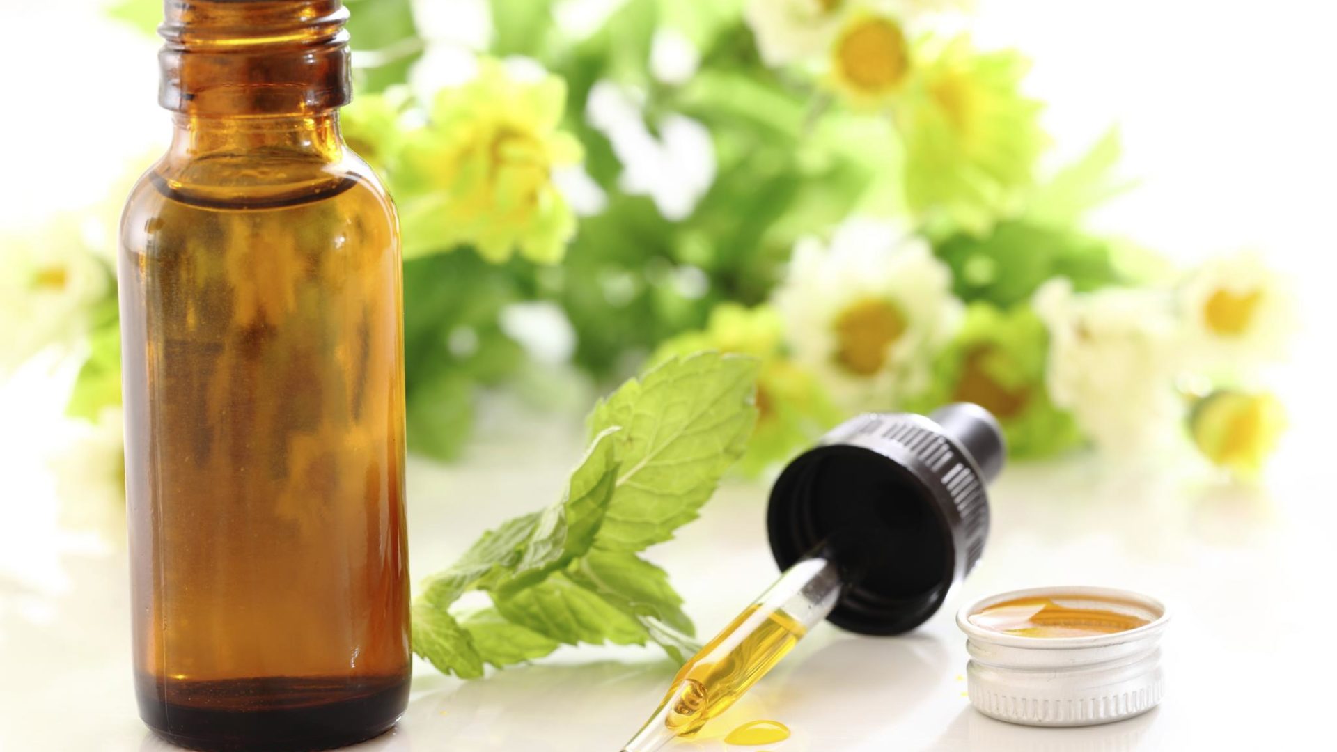 Your Personal Guide to Essential Oils Essence