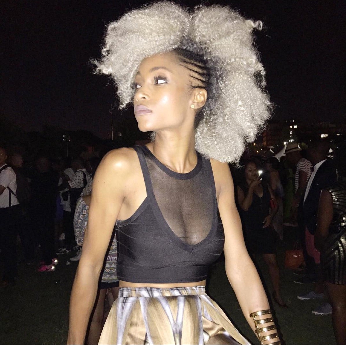 Celebs Rocking Out at the 2015 AFROPUNK Festival
