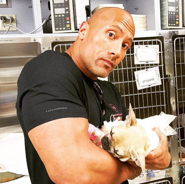 Dwayne Johnson Mourns After Putting Puppy to Sleep