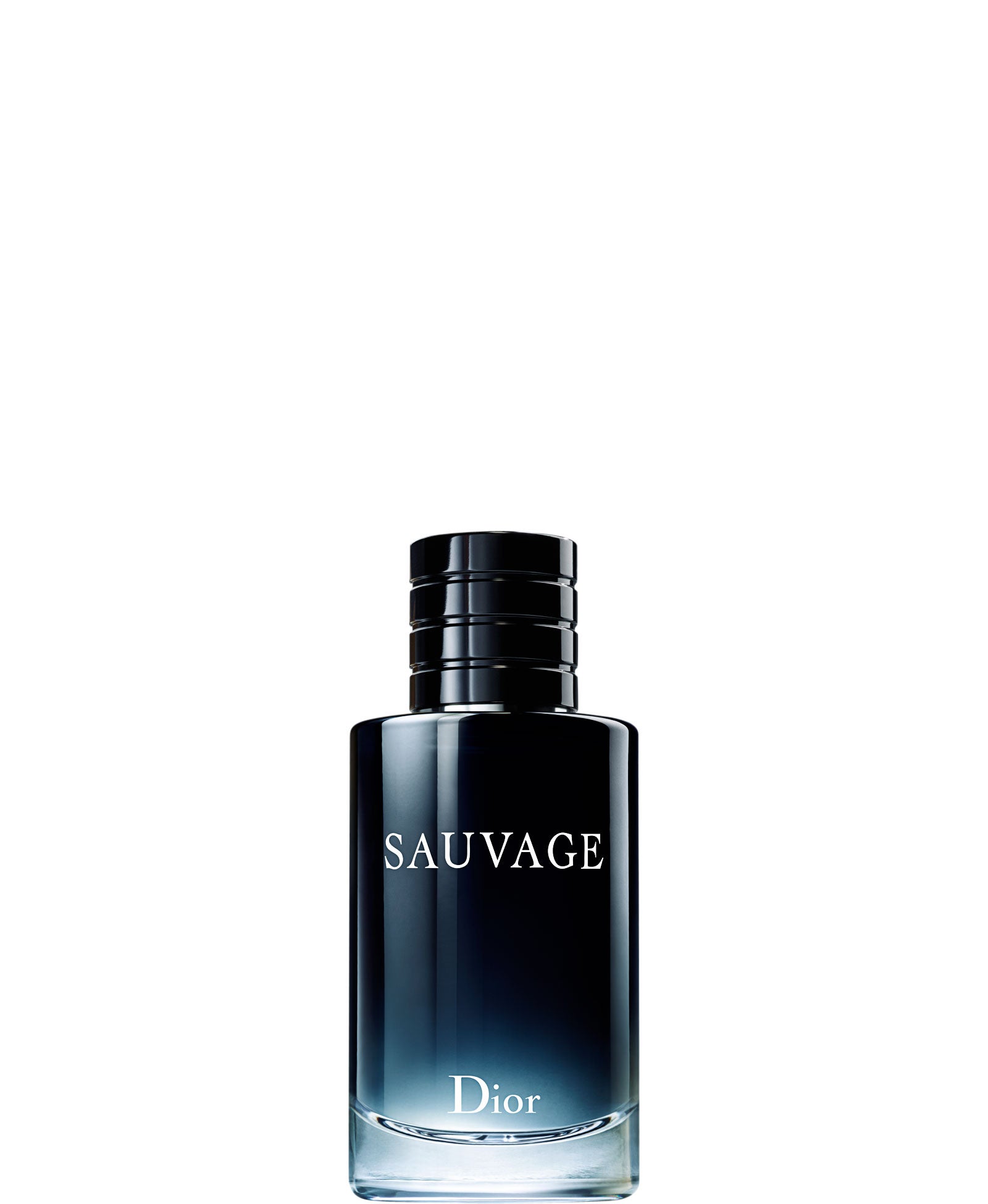 31 Days of Black Beauty