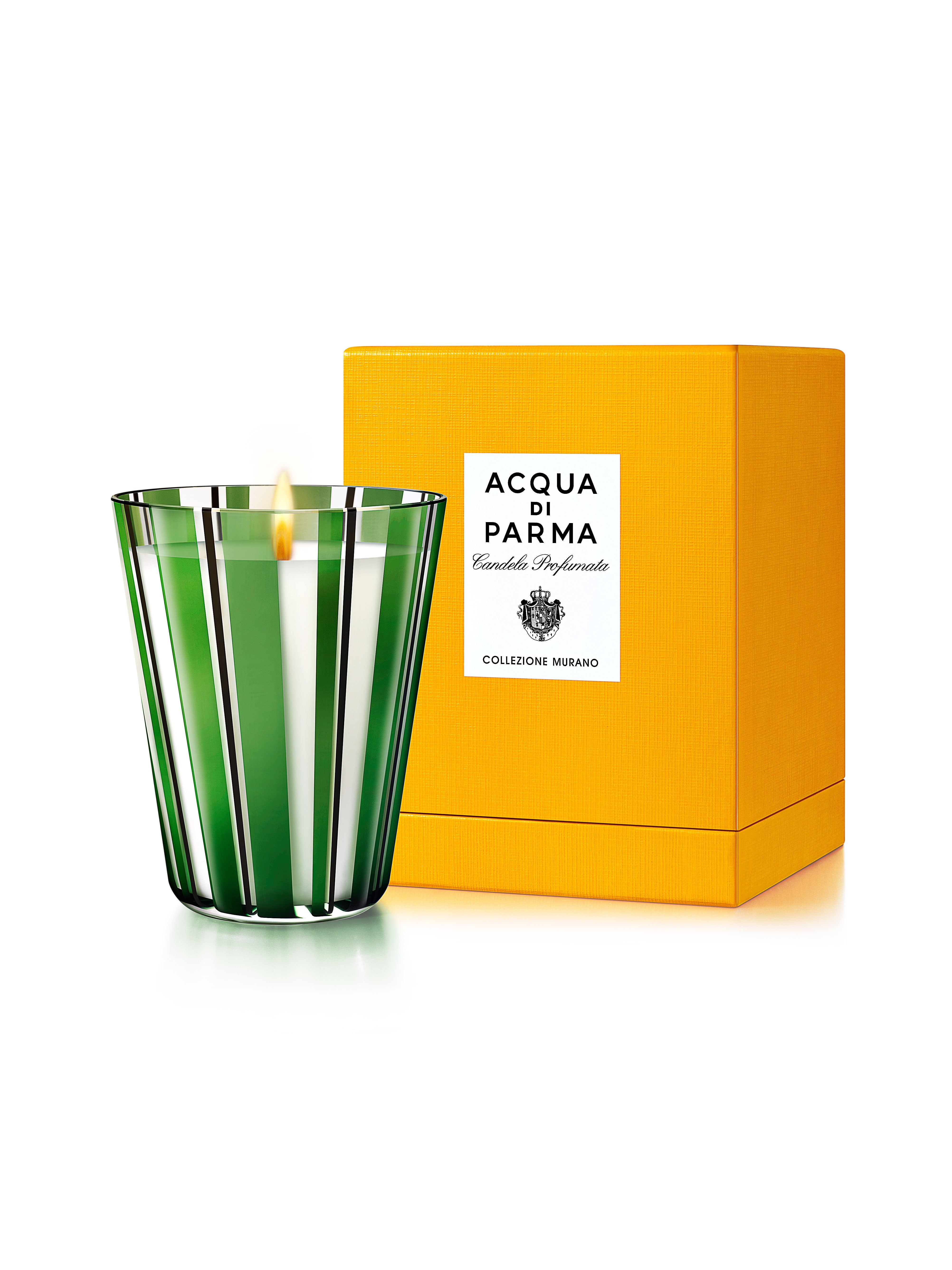 31 Days of Black Beauty