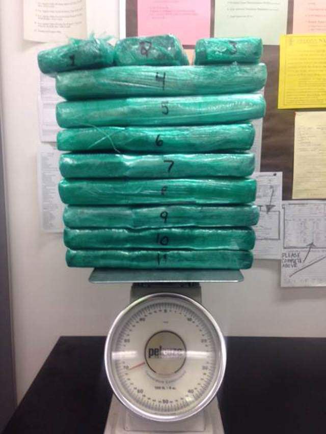 Flight Attendant Surrenders After Attempting to Smuggle 70 Pounds of Cocaine Through Airport Security