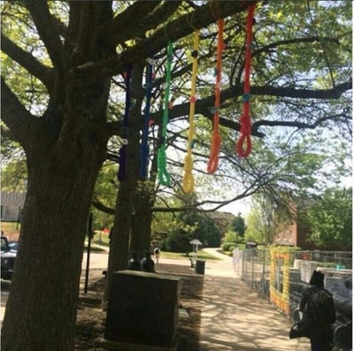 A Tennessee Art Student’s Rainbow Noose Project Sparks Outrage