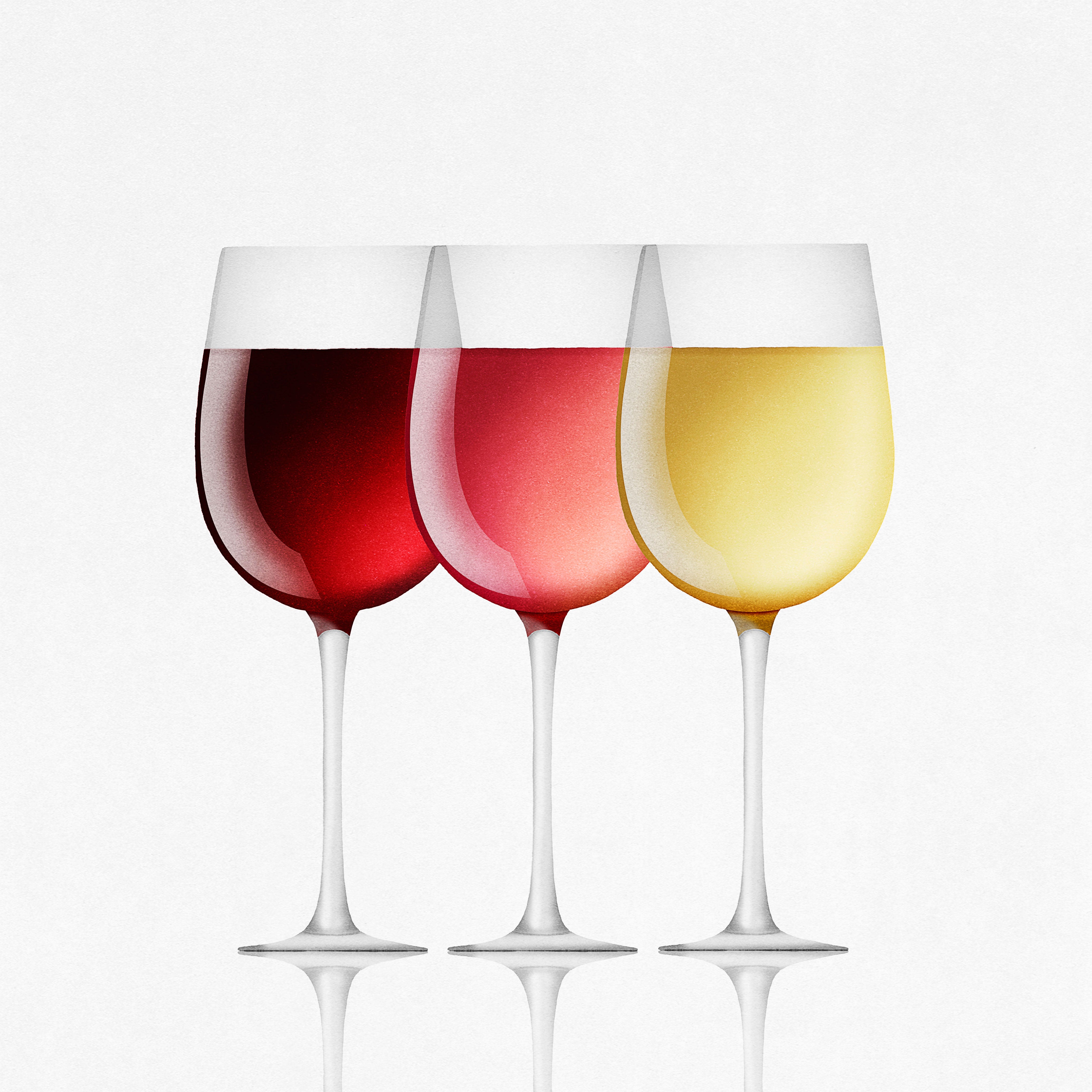 Red, White and Rosé: The Ultimate Wine Guide for Vino Rookies
