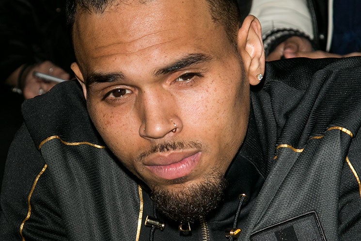 Celebrities Show Support for Chris Brown Following His Arrest

