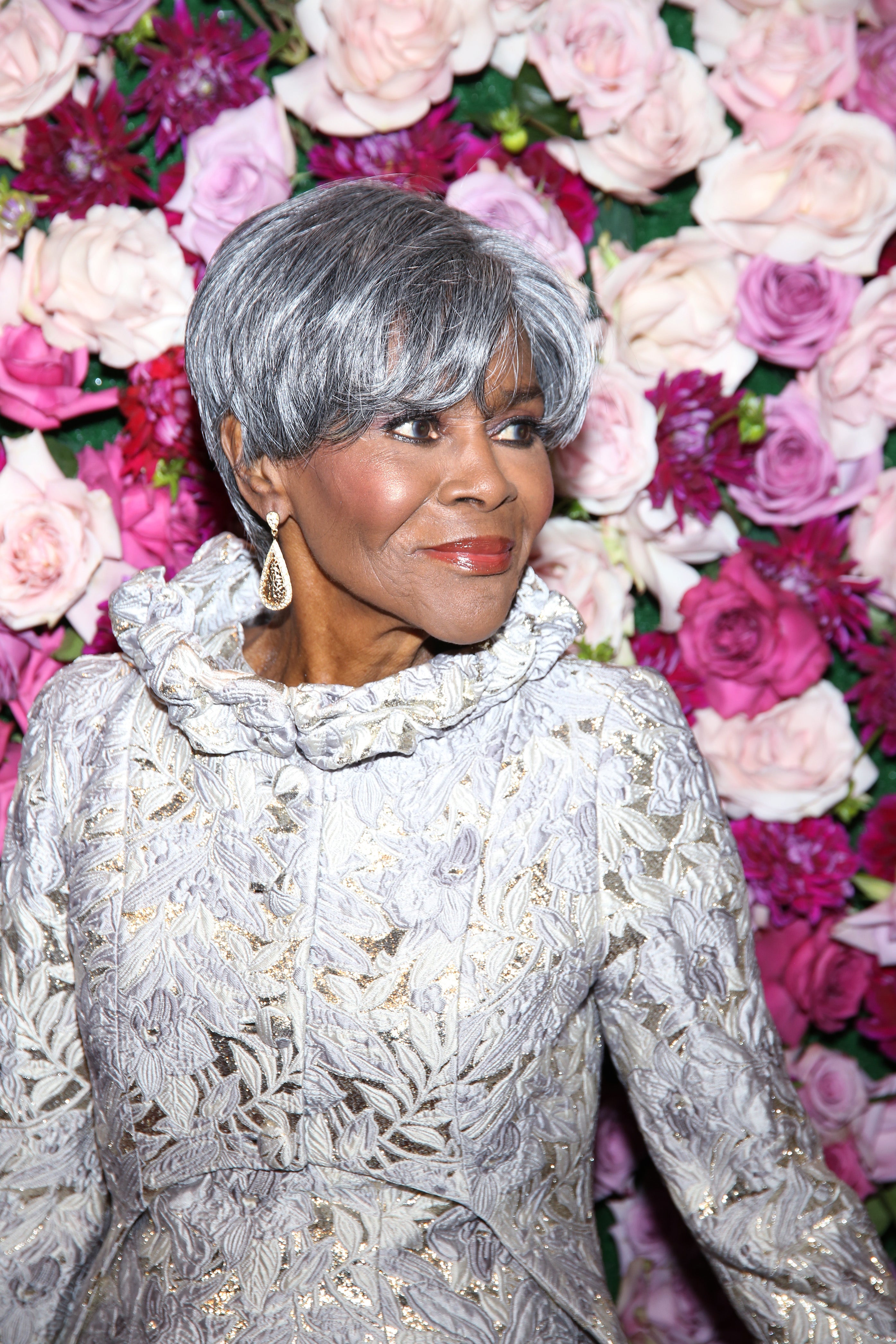 Cicely Tyson Looks Like Royalty in Spectacular Silver Gown
