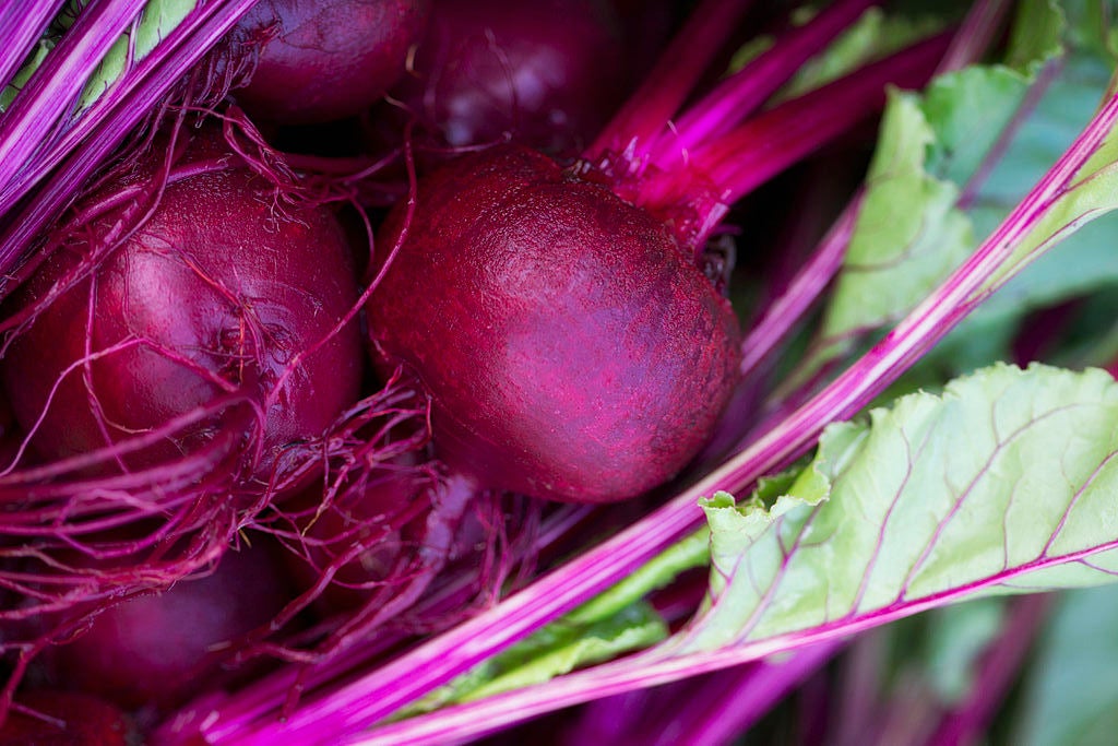 Calling All Foodies: These Are the 10 Best Fall Vegetables to Enjoy For the Season
