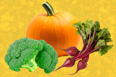 Calling All Foodies: These Are the 10 Best Fall Vegetables to Enjoy For the Season