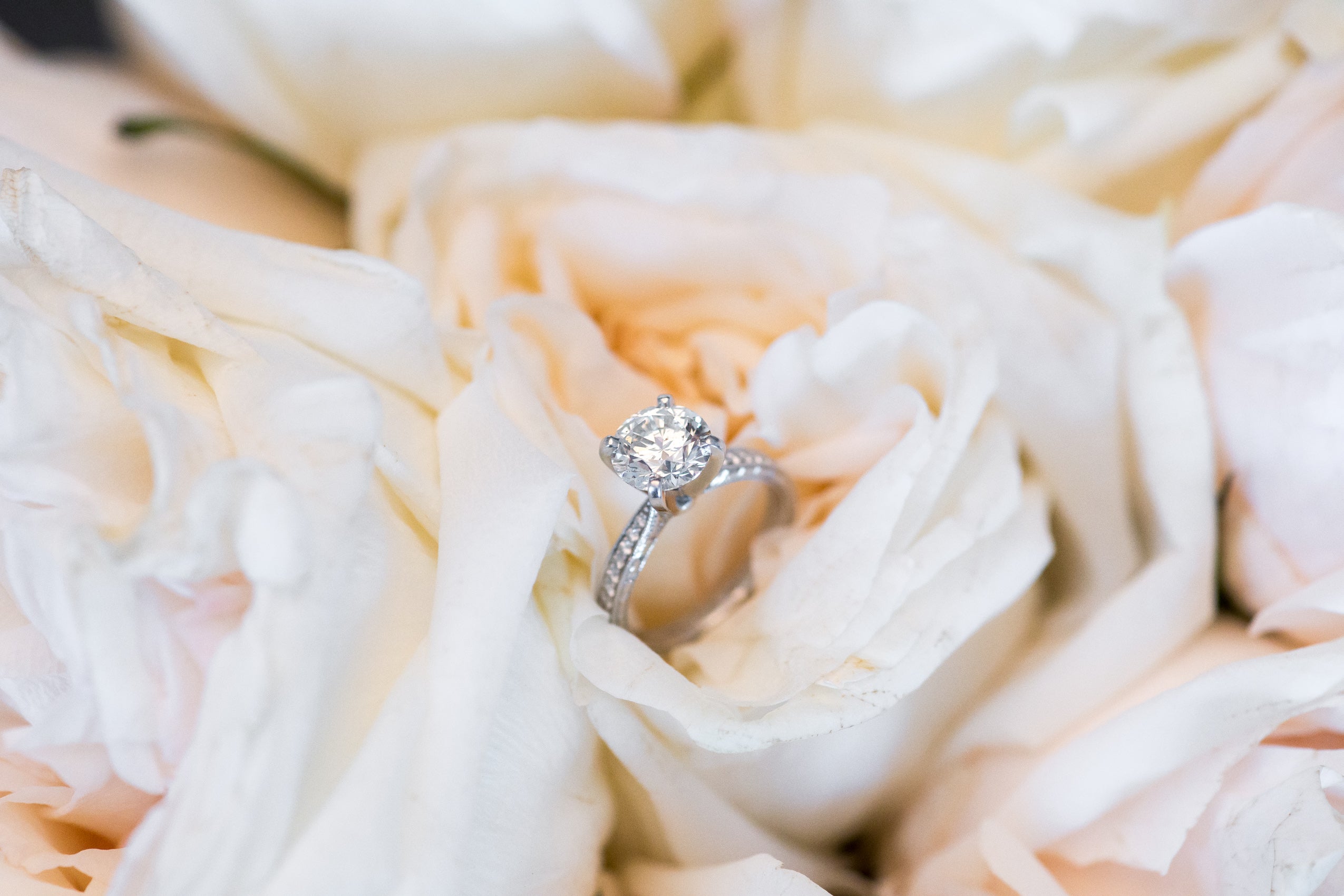 Bridal Bliss: Aisha and Justin's Virginia Wedding Photos Are As Sweet As Pie
