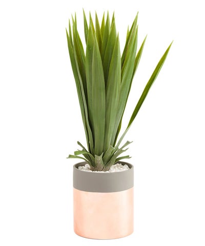 10 Home Decor Items That Bring Spring Indoors