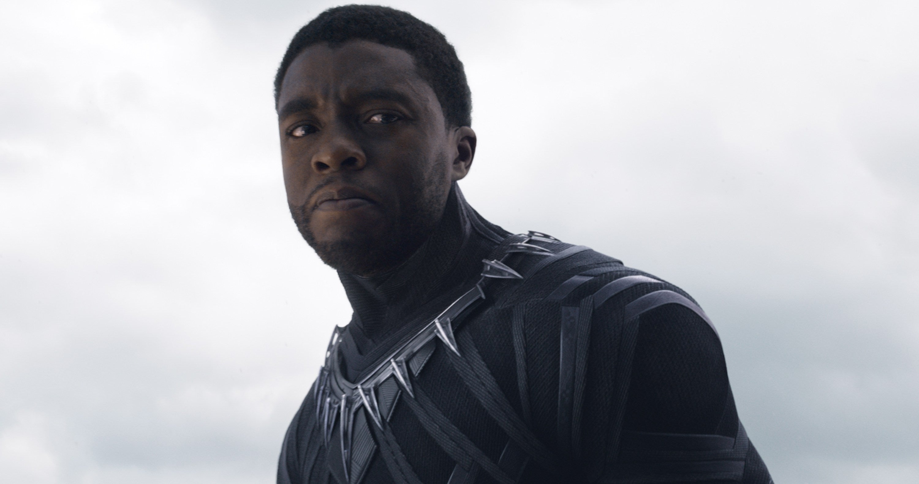 The 'Black Panther' Sneak Peek Gets Standing Ovation At Comic Con
