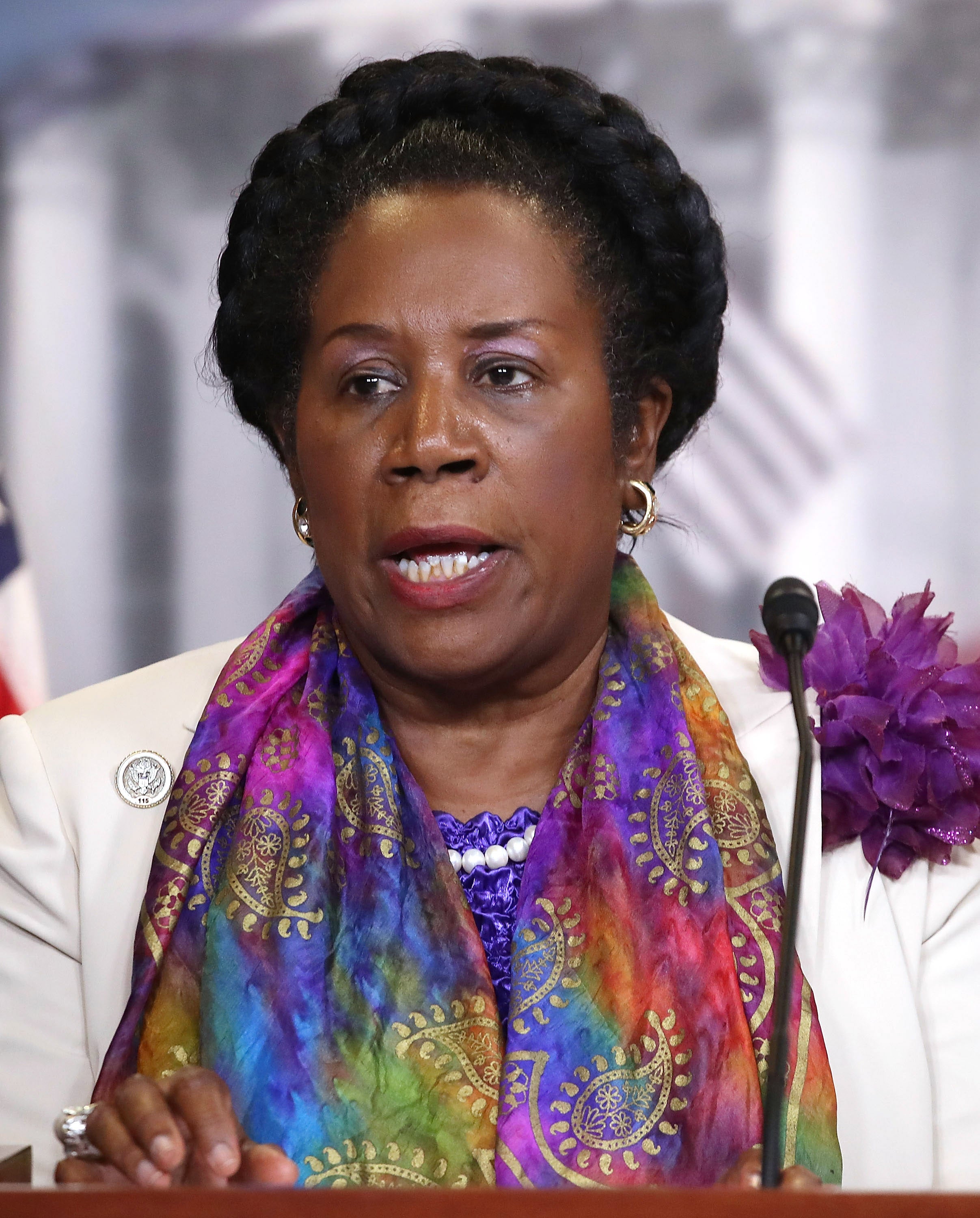 Rep. Sheila Jackson Denies Preferential Treatment From Airline After White Passenger Loses First-Class Seat
 
