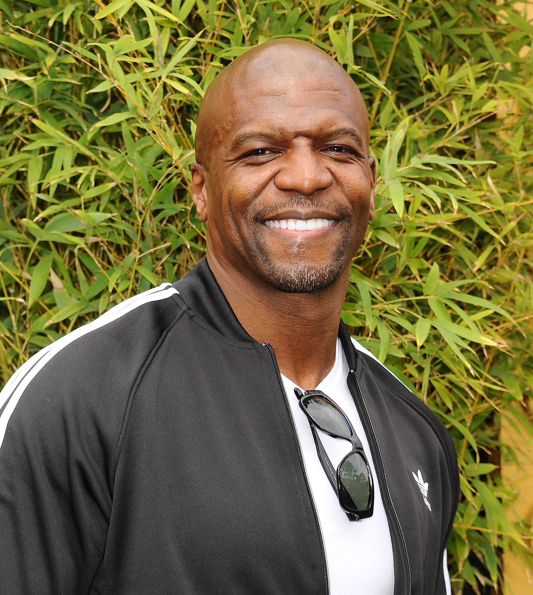 Terry Crews Smiling